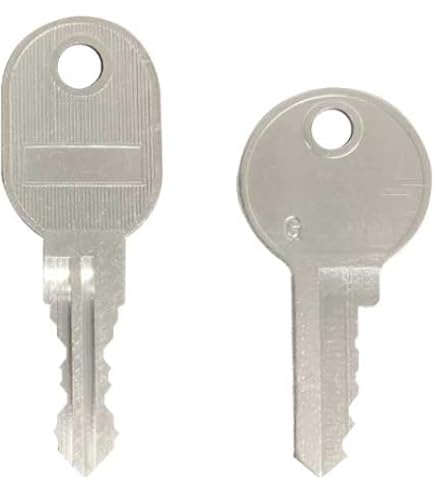 Amazon.co.jp: LION(ライオン)向けキャビネット用の合鍵 スペアキー 鍵